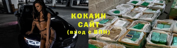 ПСИЛОЦИБИНОВЫЕ ГРИБЫ Кинешма