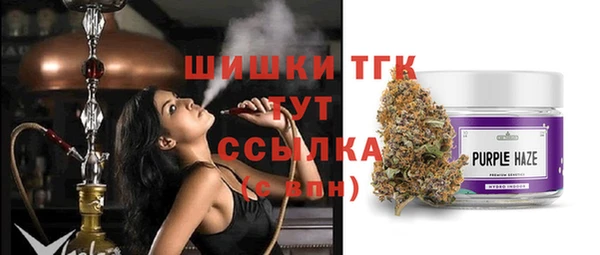 mdpv Карпинск