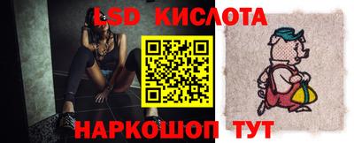 гидра Краснодар