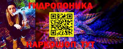 гидра Краснокаменск