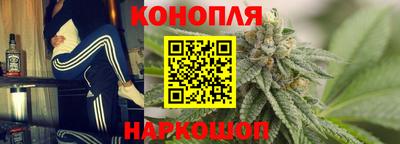 гидра Краснокаменск