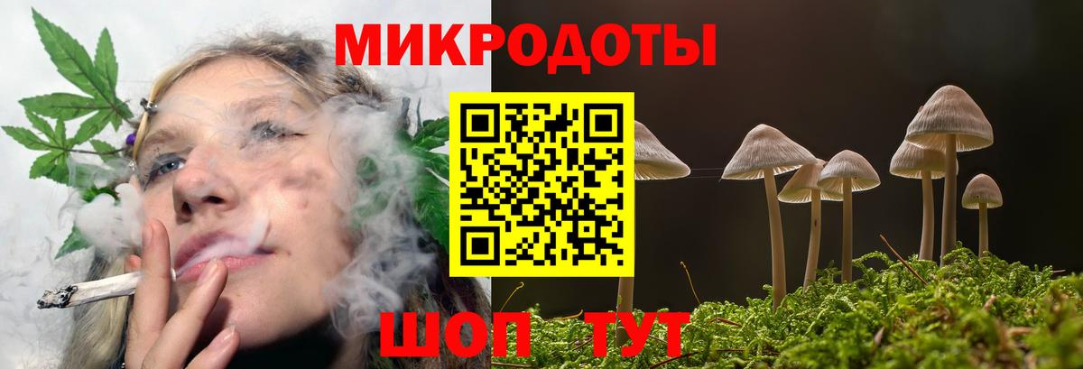 Псилоцибиновые грибы GOLDEN TEACHER  Вход с VPN  Клин  Галлюциногенные грибы Magic Shrooms 
