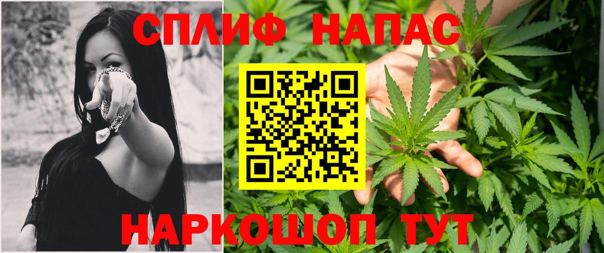 Бошки Шишки семена Клин